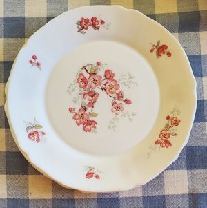ARC Arcopal France 10" Dinner Plate with Pink Floral, Set Of 2